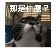739457685