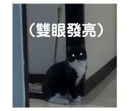 739457688