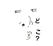 739480048