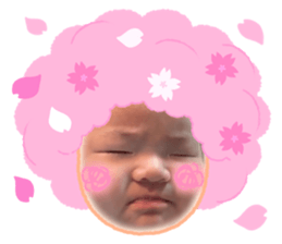 739544037