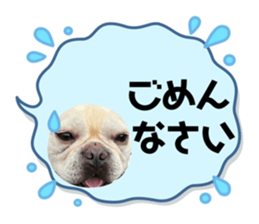 739566338
