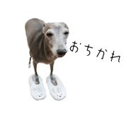 739571233