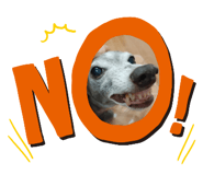 739571238