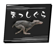 739571248