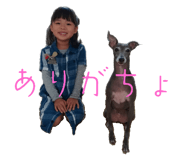 739571250