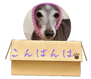 739571256