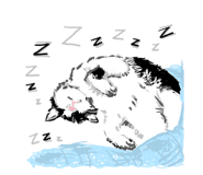 739575165