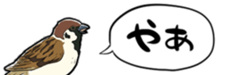 739596365