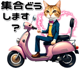739616117