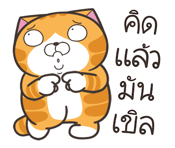 ลายที่ 9