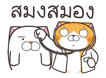 ลายที่ 6