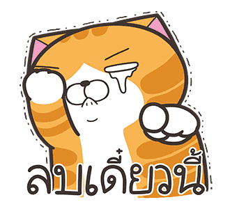 ลายที่ 13