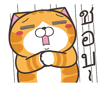 ลายที่ 17