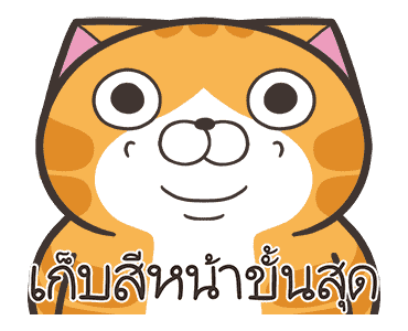 ลายที่ 19