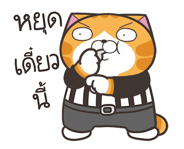 ลายที่ 23