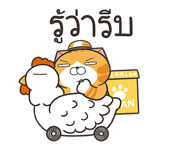 ลายที่ 25