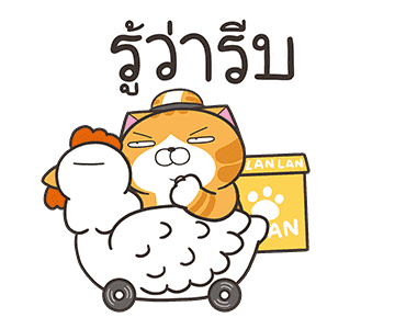 ลายที่ 13