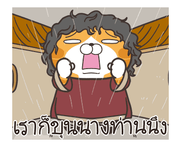 ลายที่ 43