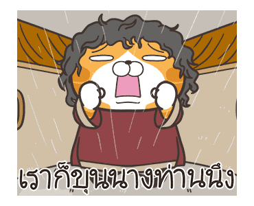 ลายที่ 22