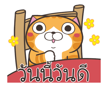 ลายที่ 23