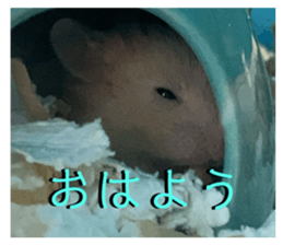 739647629