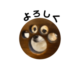739655440