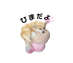 739655446