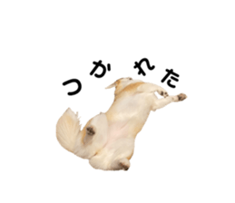 739655453