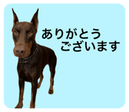 739670049