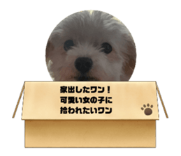 739671607