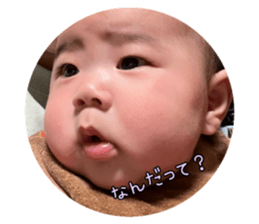 739679494