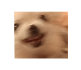 739694064
