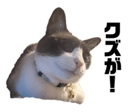 739695233