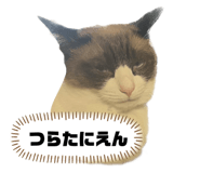 739695237