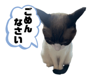 739695250