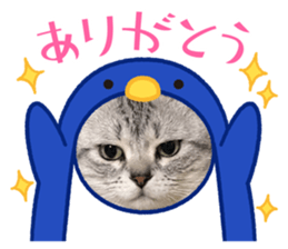 739721204