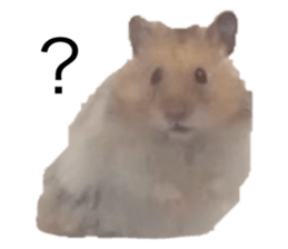 739726802