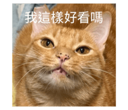 739733245