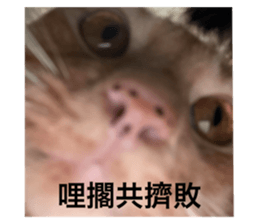739733277