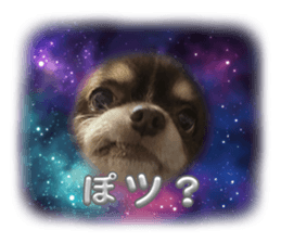 739743345