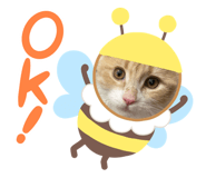 739743781