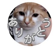 739754754