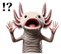 739763757