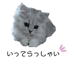 739777143