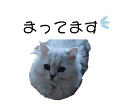 739777146