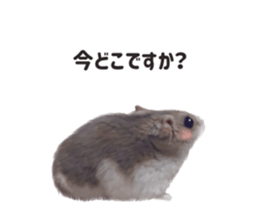 739786832