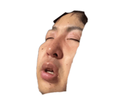 739811982