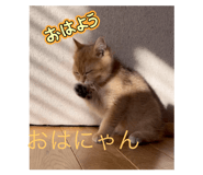739818907