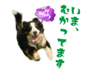 739819800