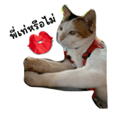 739864605